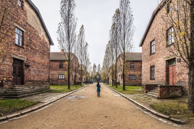 Auschwitz-Birkenau: Skip-the-Line Entry Ticket & Guided Tour - Experience the Dark History