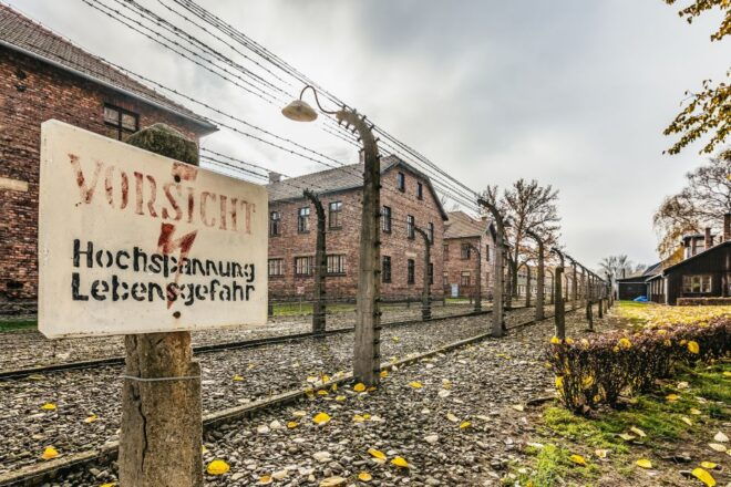 Auschwitz-Birkenau: Skip-the-Line Entry Ticket & Guided Tour - Pass Through the Infamous Gate