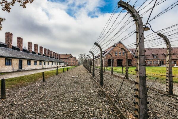 Auschwitz-Birkenau: Skip-the-Line Entry Ticket & Guided Tour - Important Tour Information