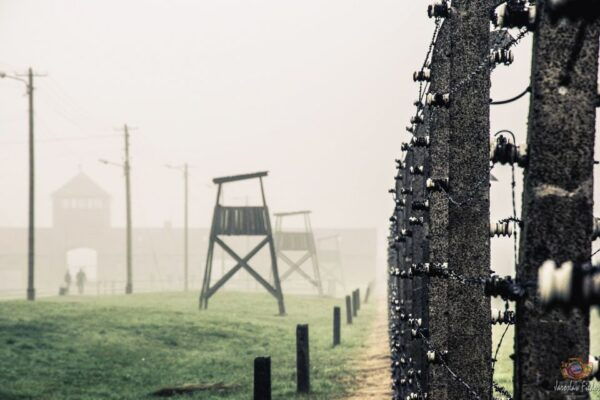 Auschwitz-Birkenau: Skip-the-Line Entry Ticket & Guided Tour - Customer Reviews and Recommendations
