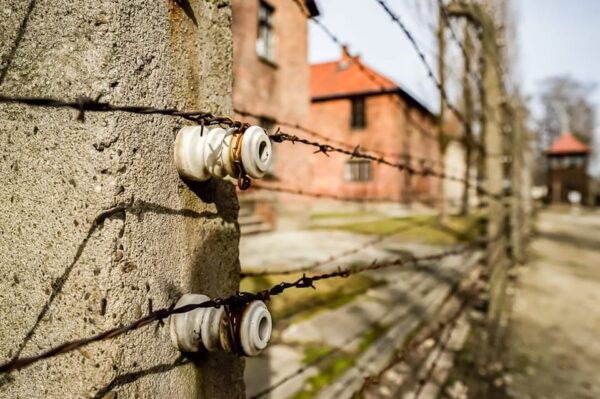 Auschwitz-Birkenau Skip-the-Line Guided Tour - Cancellation and Payment