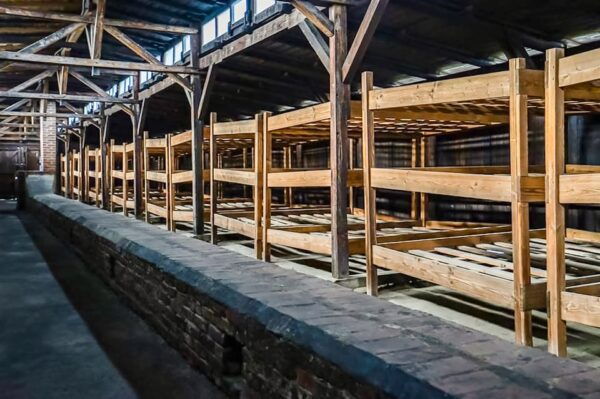 Auschwitz-Birkenau Skip-the-Line Guided Tour - Transportation and Accessibility