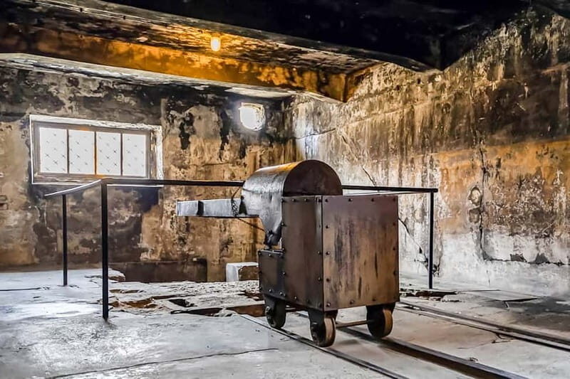 Auschwitz-Birkenau Skip-the-Line Guided Tour - Good To Know