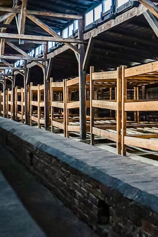 Auschwitz-Birkenau Skip-the-Line Guided Tour - The Sum Up