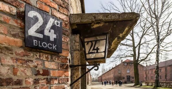 Auschwitz-Birkenau Skip-the-Line Guided Tour - Accessibility Considerations