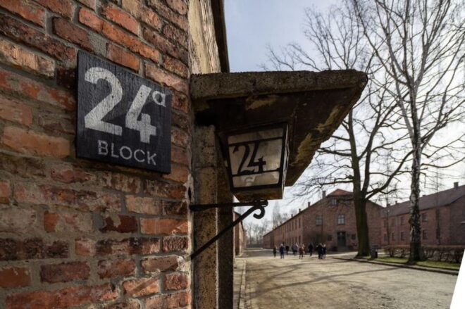 Auschwitz-Birkenau: Skip-the-Line Ticket and Guided Tour - Inclusions and Meeting Information