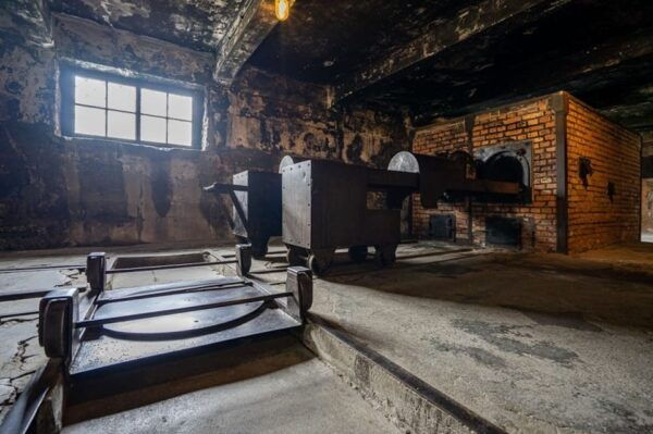 Auschwitz-Birkenau: Skip-the-Line Ticket and Guided Tour - Exploring Auschwitz-Birkenaus History