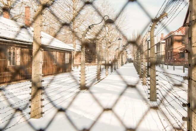 Auschwitz-Birkenau: Skip-the-Line Ticket and Guided Tour - Tour Inclusions and Exclusions