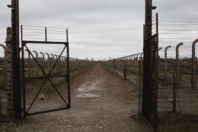 Auschwitz-Birkenau & Wieliczka in One Day Half Private Tour - Cancellation Policy