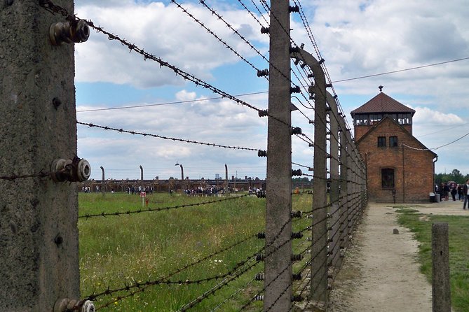 Auschwitz-Birkenau & Wieliczka in One Day Half Private Tour - Traveler Experiences