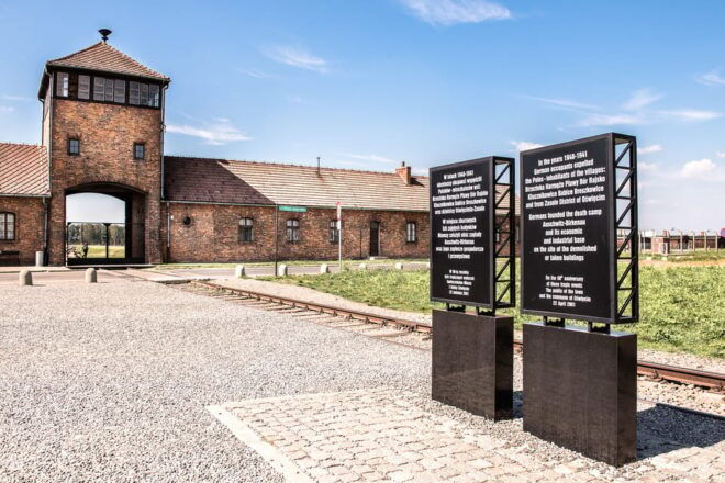 Auschwitz-Birkenau & Wieliczka Salt Mine: Day Tour & Lunch - Tour Highlights