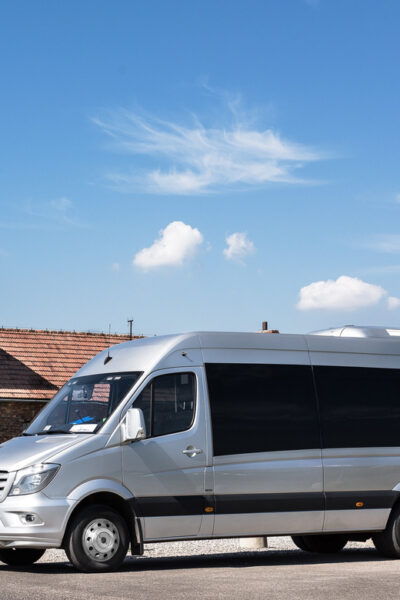 Auschwitz-Birkenau & Wieliczka Salt Mine: Day Tour & Lunch - Tour Duration and Pricing