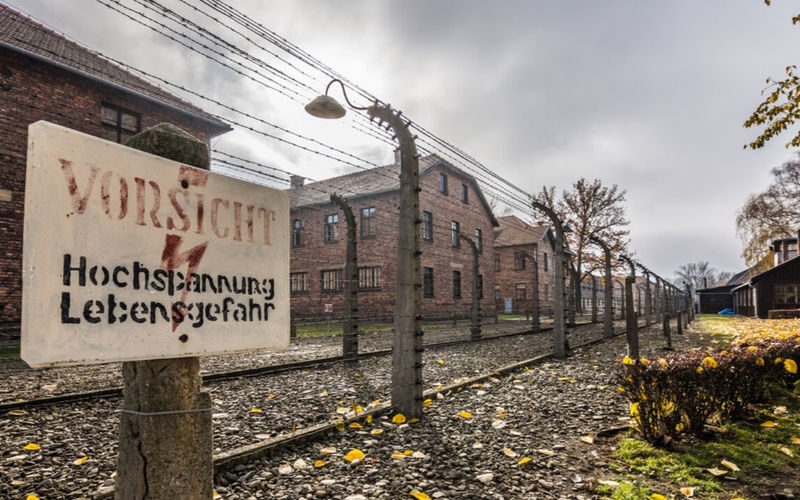 Auschwitz-Birkenau & Wieliczka Salt Mine Full-Day Tour from Krakow - Key points to know before you go
