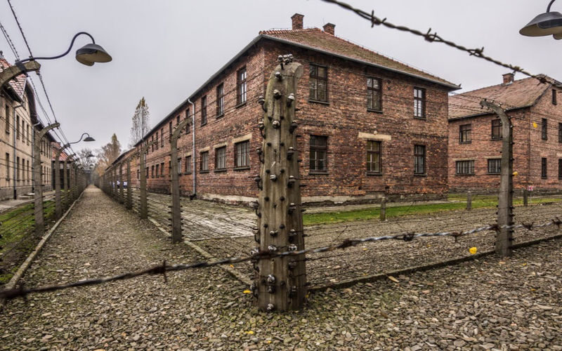 Auschwitz-Birkenau & Wieliczka Salt Mine Full-Day Tour from Krakow - Pickup, transport, and the day’s rhythm
