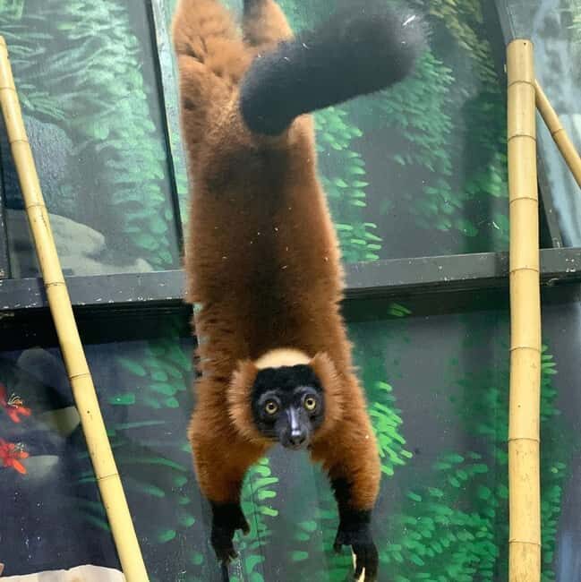 Austin Aquarium Entry Ticket - Good To Know