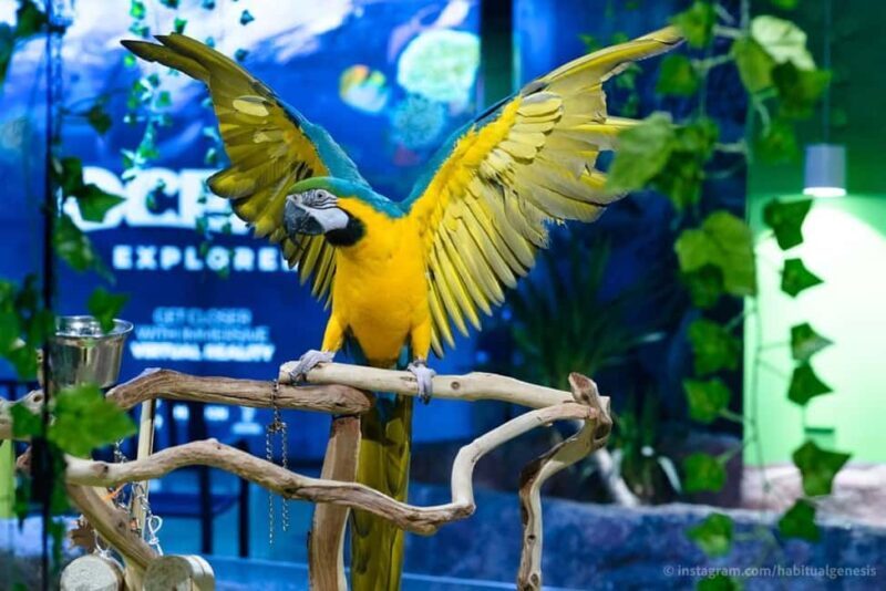 Austin Aquarium Entry Ticket - Exploring the Austin Aquarium: What You Can Expect