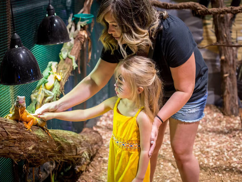 Austin Aquarium Ticket - Look for stingrays and reptiles at the touch tanks