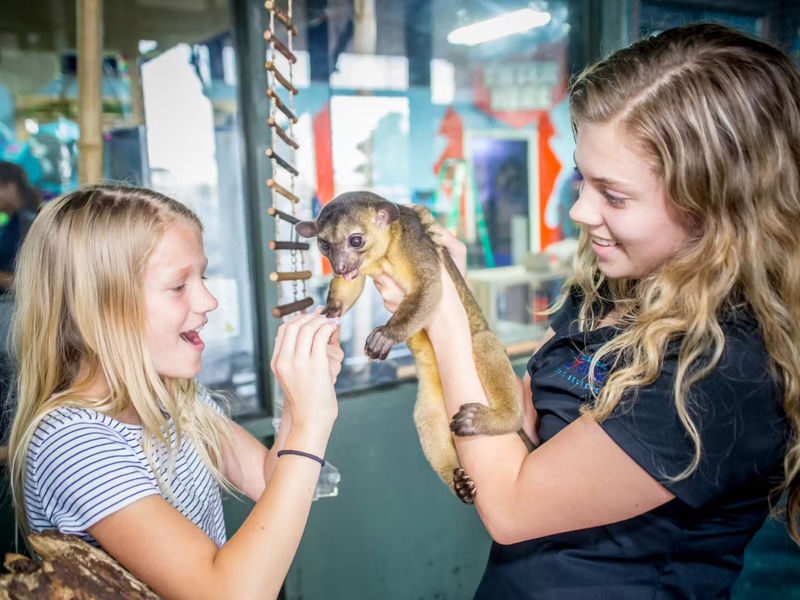 Austin Aquarium Ticket - Step into the rainforest and meet land animals