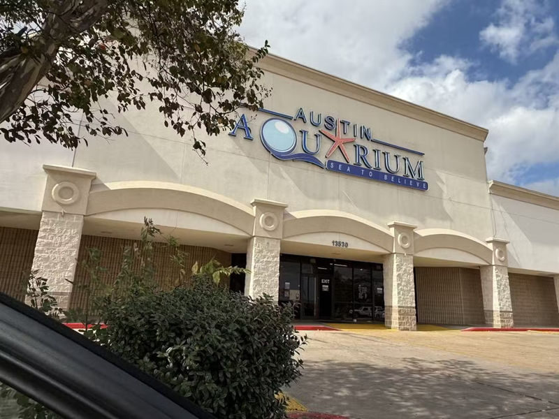 Austin Aquarium Ticket - Making the most of a one-to-two-hour visit
