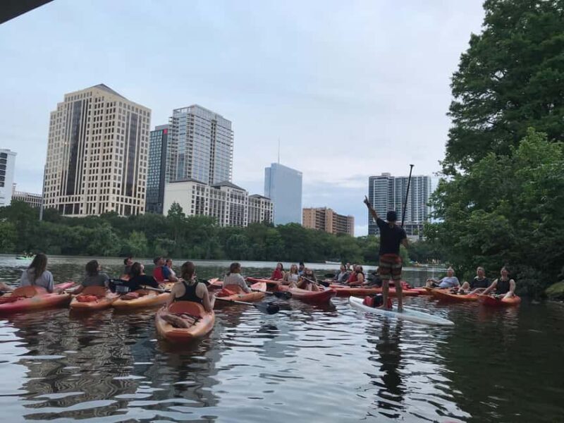 Austin: Guided Bat-Watching Kayak Tour - The Experience: A Close-Up View of Austin’s Bat Colony