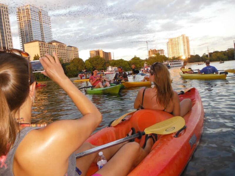 Austin: Guided Bat-Watching Kayak Tour - Why the Sunset Bat Departure Is Special