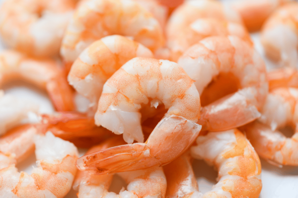 Austin: Master the Art of Colossal Shrimp Alfredo Pasta - Crafting Alfredo Sauce