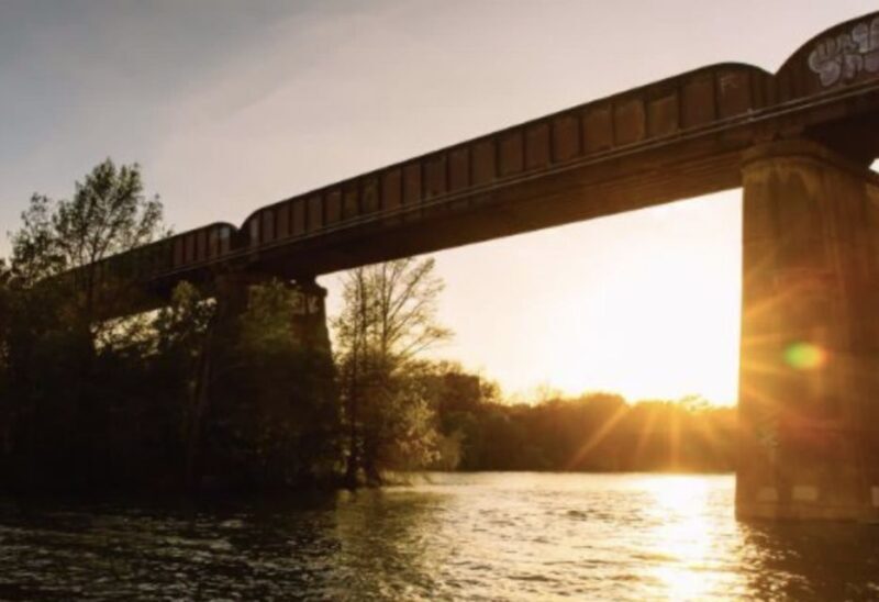 Austin Premium Driving Tour with Sunset Boat Cruise - Who Will Love This Tour?