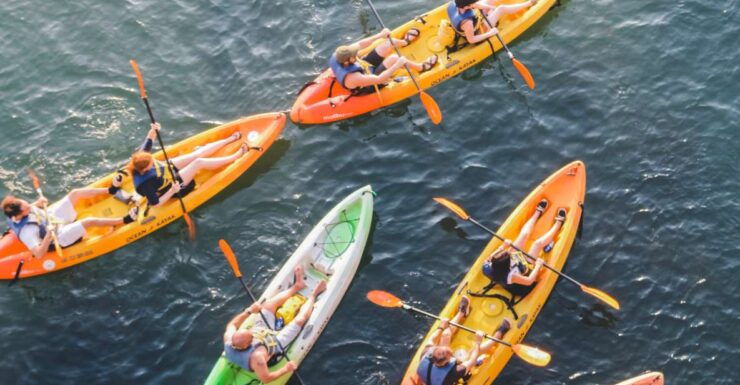 Austin: Single or Double Kayak Rental - Experience Highlights