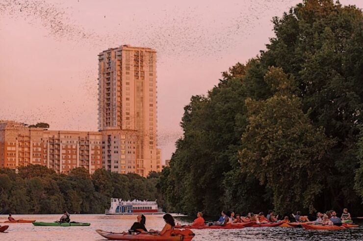 Austin: Sunset Bat Watching Kayak Tour - Experience Highlights