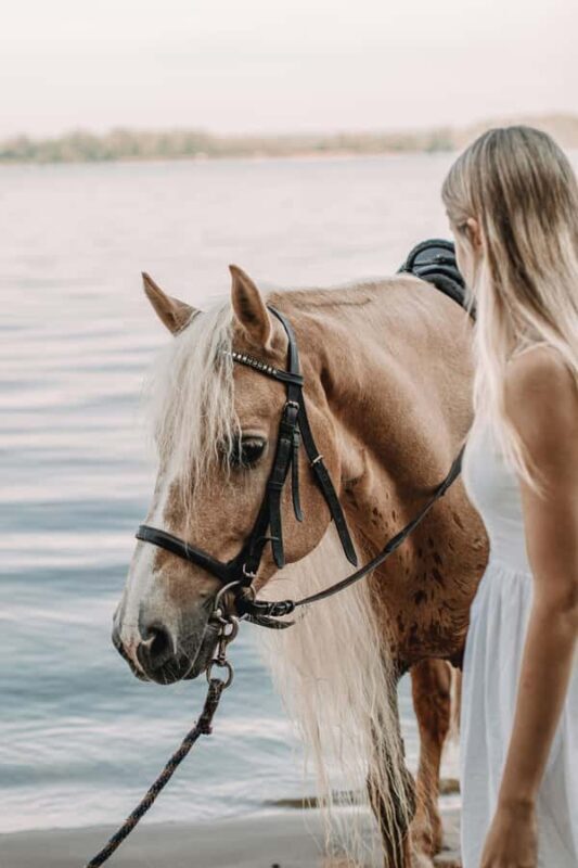 Australia: Beach Horse Ride and Lagoon Swim with Photos - Australia: Beach Horse Ride and Lagoon Swim with Photos — An Authentic Coastal Adventure