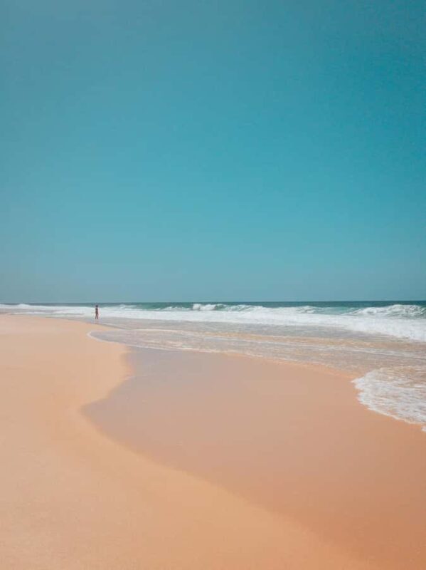 Australia: Beach Horse Ride and Lagoon Swim with Photos - Who Will Love This Tour?