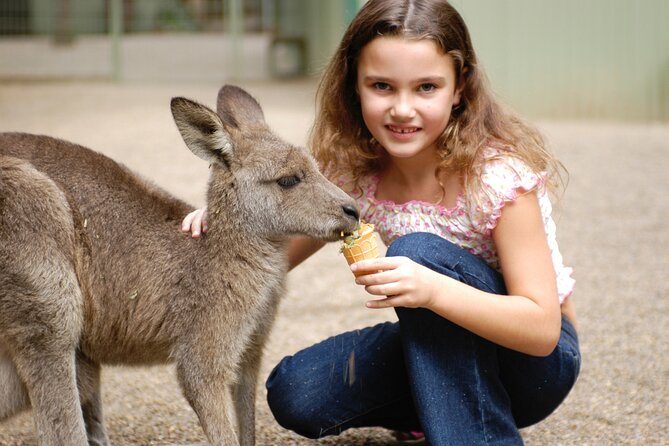 Australia Multi-City Attractions Pass - Reviews