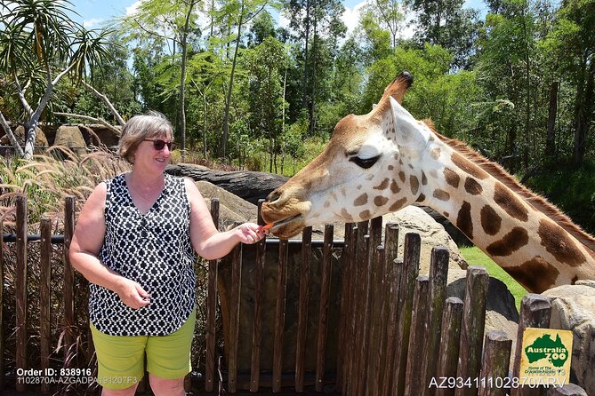 Australia Zoo Day Trip From Brisbane - Directions