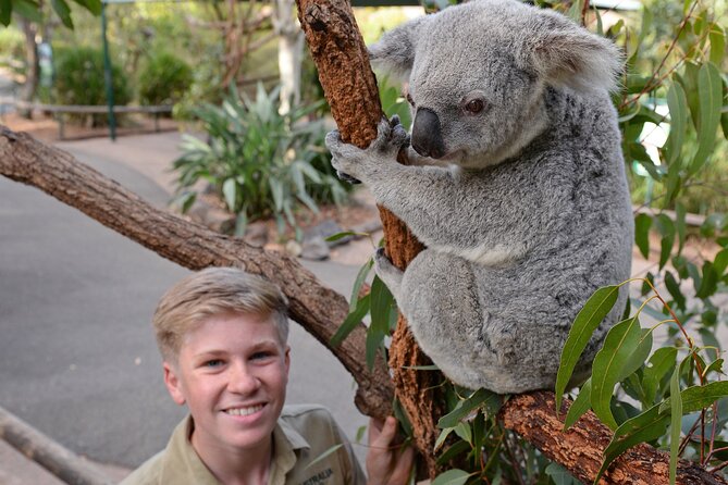 Australia Zoo Day Trip From Brisbane - The Sum Up