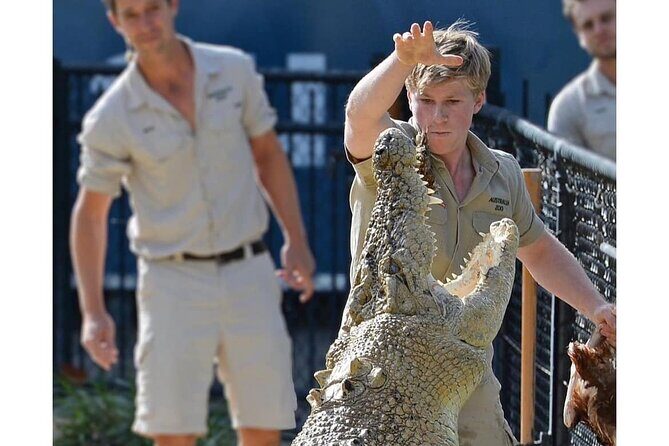 Australia Zoo Day Trip from Noosa /Sunshine Coast Region - Transport and Comfort