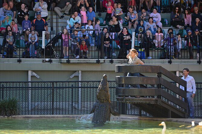 Australia Zoo Day Trip from Noosa /Sunshine Coast Region - The Value of the Experience