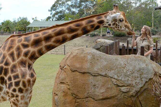 Australia Zoo Day Trip from Noosa /Sunshine Coast Region - Whos This Tour Best For?