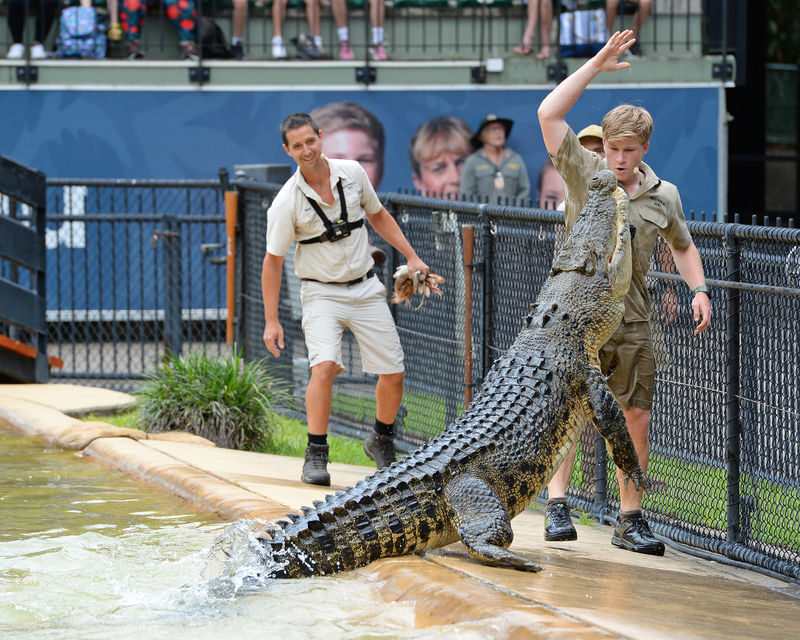 Australia Zoo Transfer and Entry Adventure - A zoo visit with Steve Irwin’s conservation legacy