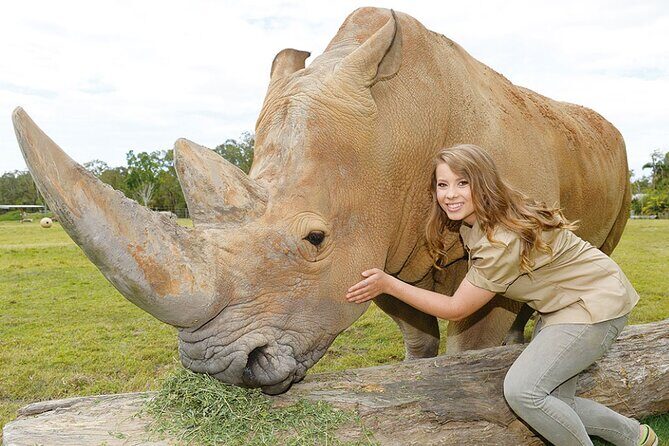 Australia Zoo Transfer from Noosa and Sunshine Coast - Final Thoughts: Is It Worth It?