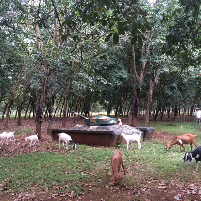 Australian Base-Long Tan-Nui Dat -Vung Tau Beach - Pickup and Drop-off Locations