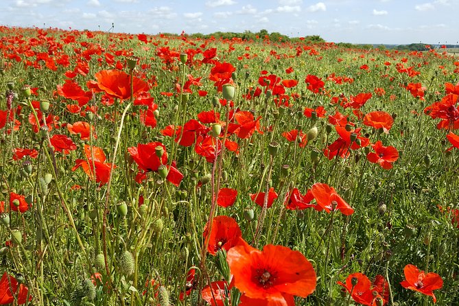 Australian Battlefields Private Tour in Fromelles and Flanders From Lille - Directions