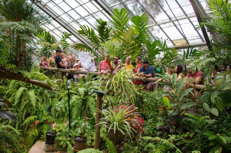 Australian Butterfly Sanctuary - Immersive Butterfly Encounter