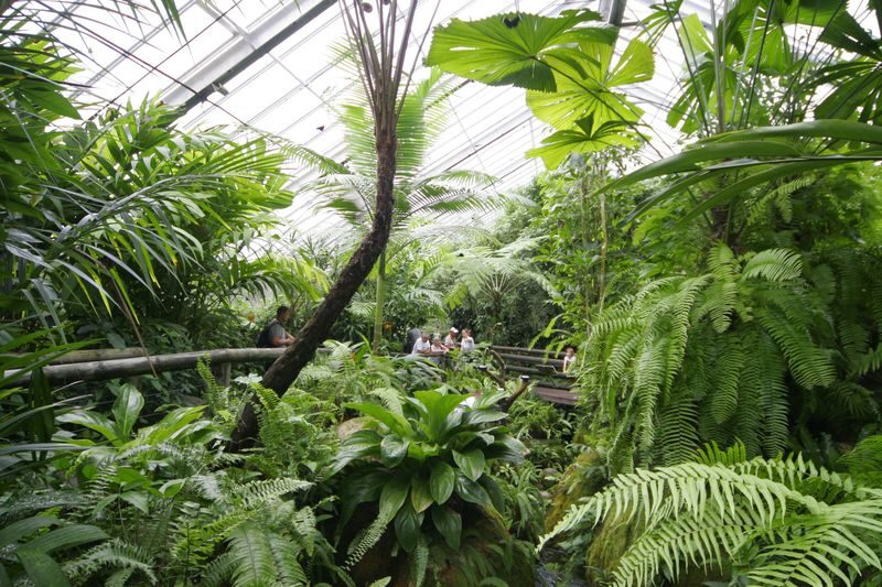Australian Butterfly Sanctuary Cairns - What the ticket costs and what it buys
