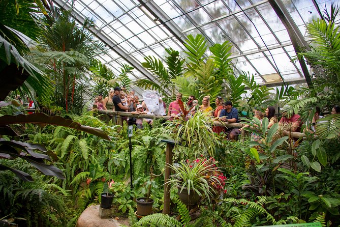 Australian Butterfly Sanctuary - Booking and Reservation
