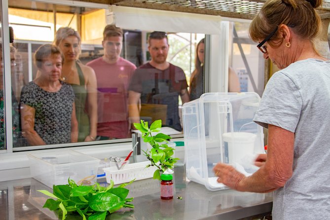 Australian Butterfly Sanctuary - Additional Information