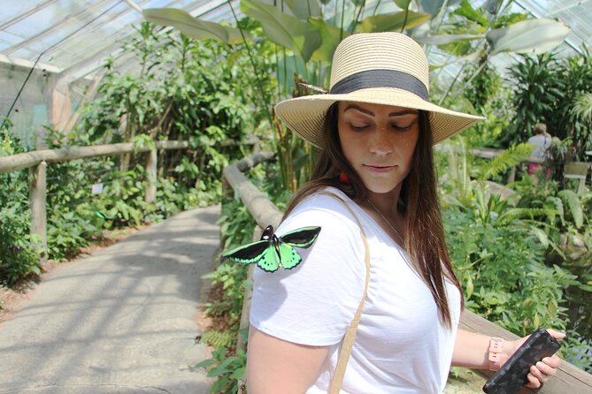 Australian Butterfly Sanctuary - Common Questions