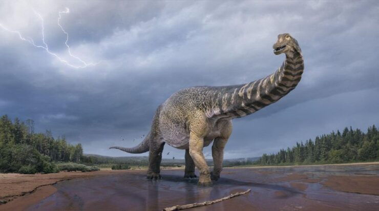 Australian Dinosaur Giants Tour - Dinosaur Facts