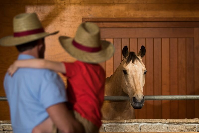 Australian Outback Spectacular Dinner Show Ticket - What arrives at the table