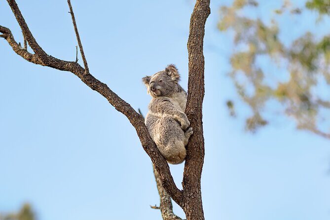 Australian Surfing and Camping Tours - FAQ