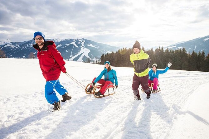 Austria Alps Skiing Private One Day Trip Vienna to Semmering - Pricing and Terms & Conditions